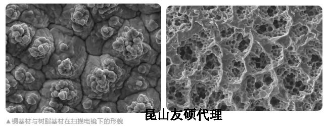 石河子蔡司石河子扫描电镜